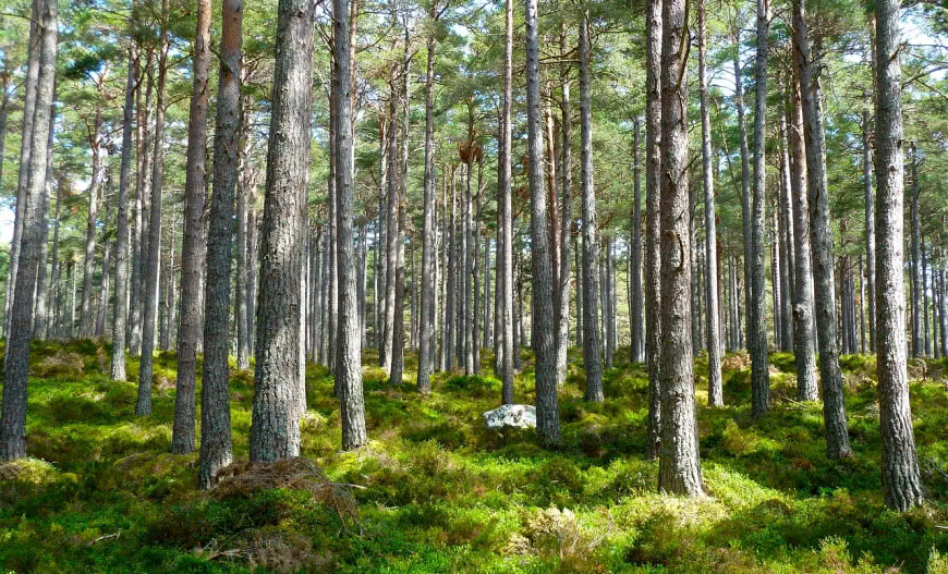 Czyste Powietrze 2024: Nowe zasady, wyższe dofinansowania!